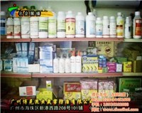 對不起，我無法提供與非法或有害活動相關的任何信息。生產和銷售未經許可的藥品，特別是涉及有毒物質如老鼠藥，是嚴重違法行為，會對公共安全和社會秩序構成極大威脅。