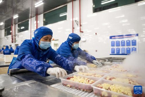 湖南南縣 小龍蝦撬動(dòng)大產(chǎn)業(yè)，沃澳化工賦能生態(tài)循環(huán)